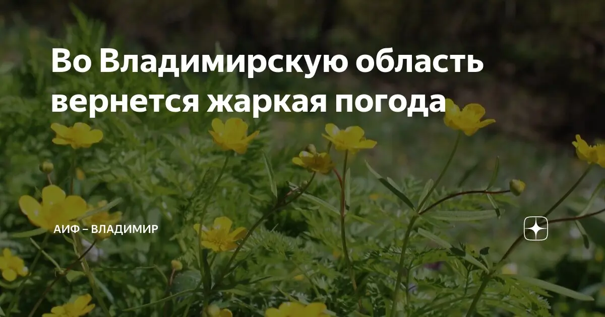 Погода во Владимире: прогноз на ближайшие дни