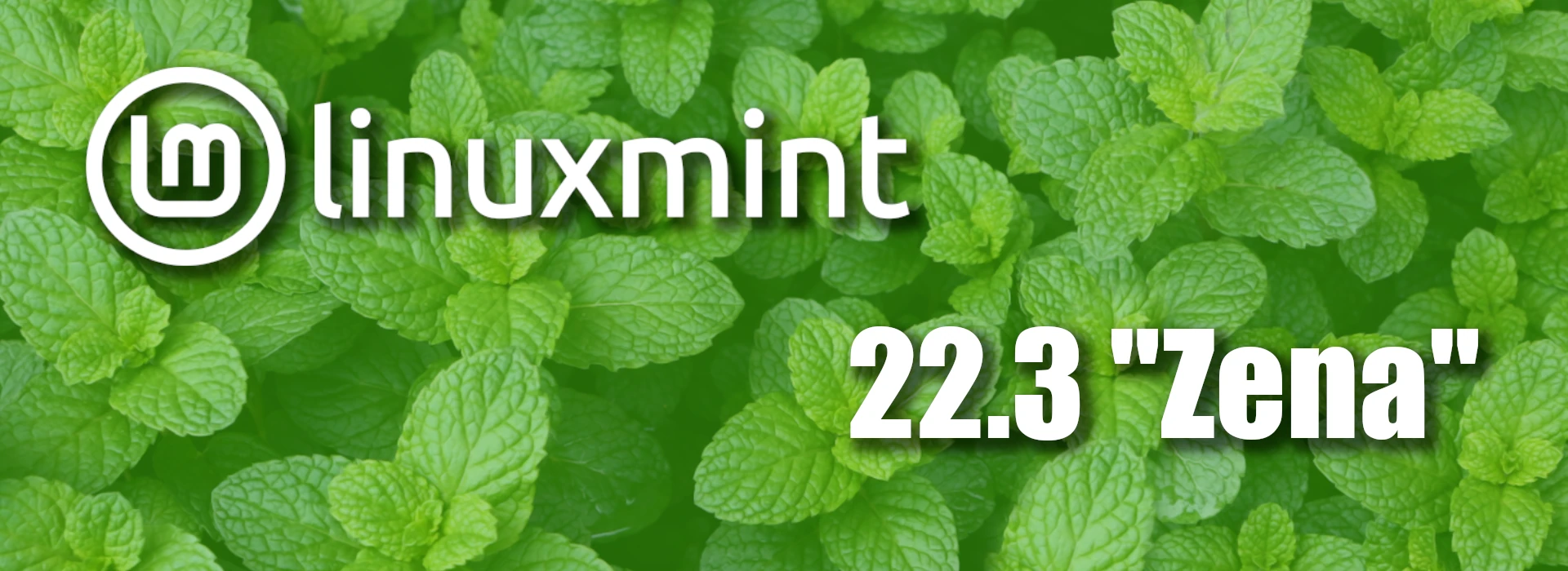Все о Linux Mint 22.3 Zena: новые функции и возможности