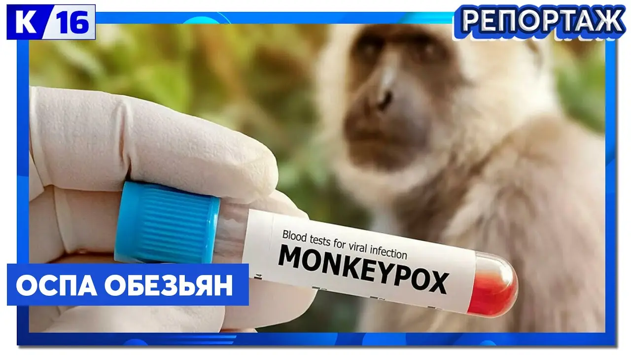 Александр Селевко: достижения и влияние