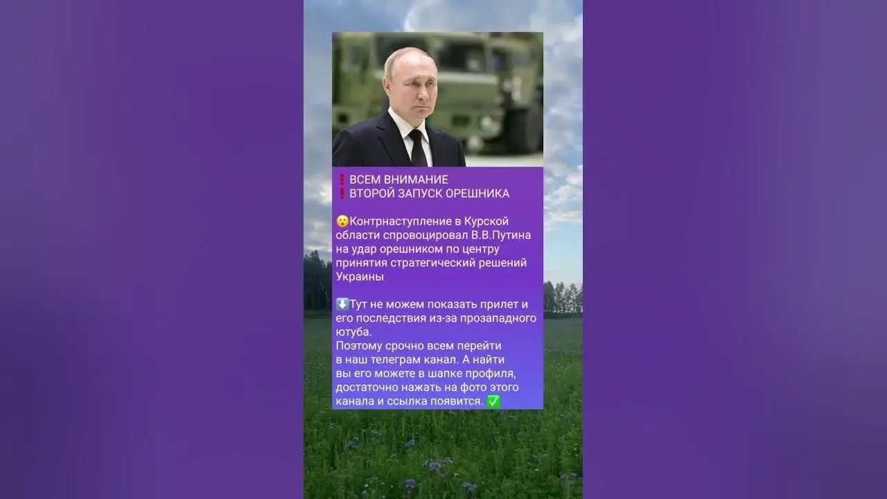 Орешник: полезные свойства и применение в жизни