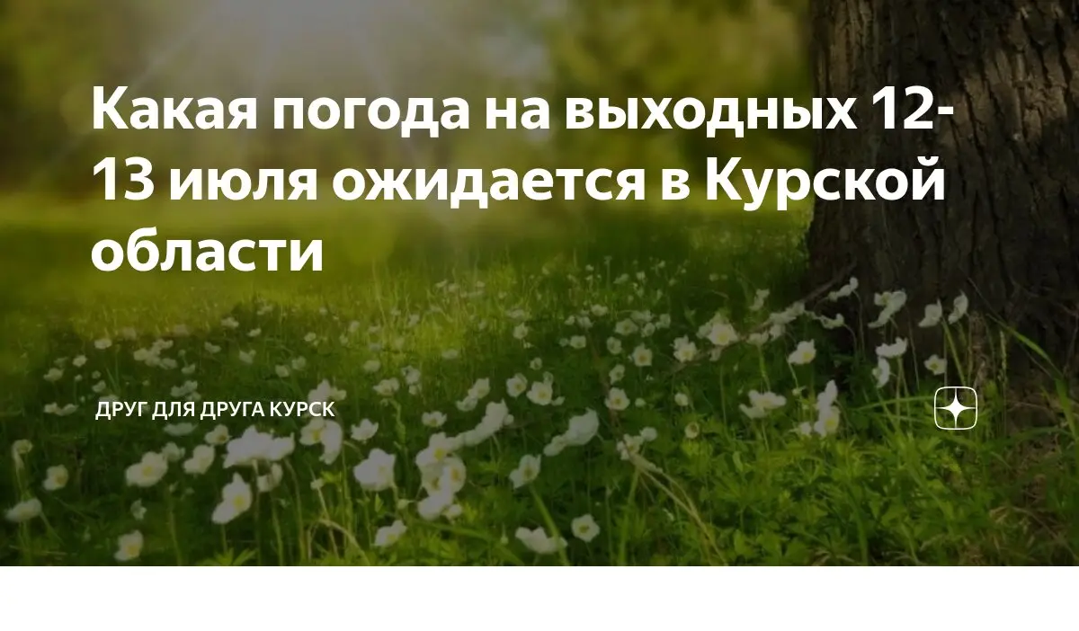 Прогноз погоды в Курске на 2023 год