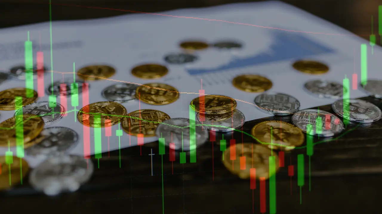 Торговля на Forex: что должно знать каждый начинающий трейдер