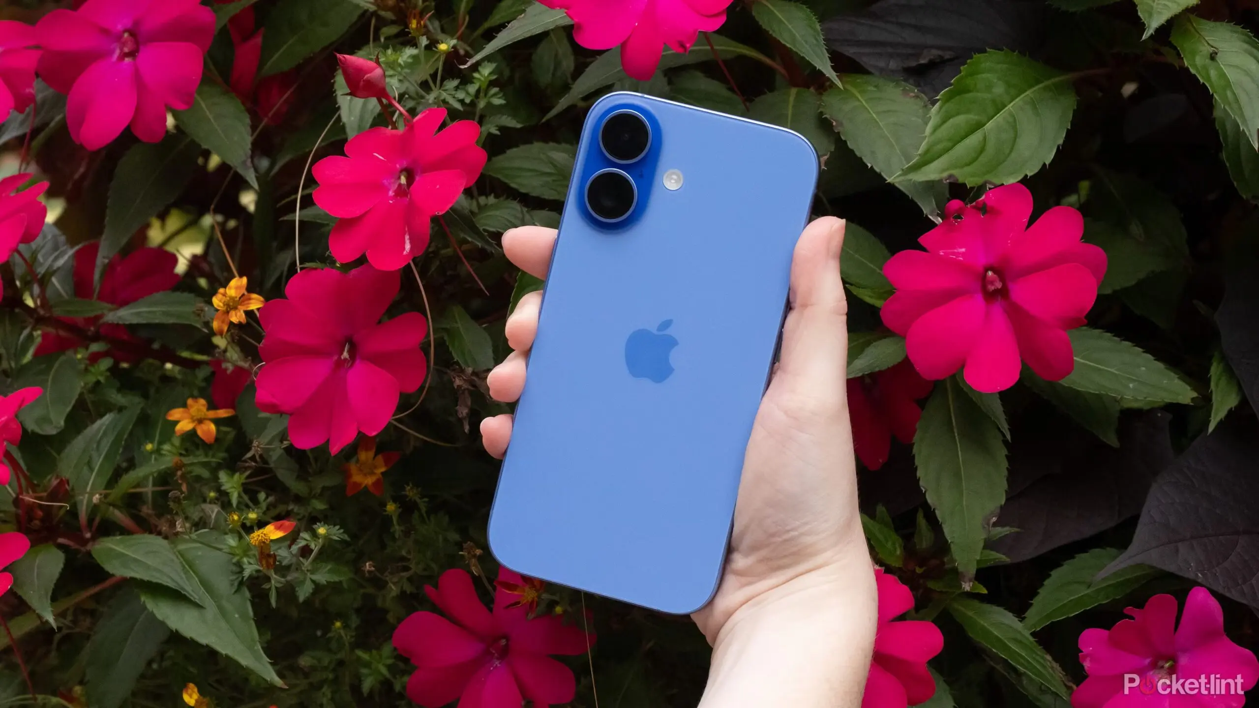 Что нам ждать от iPhone 16: новая эра смартфонов Apple