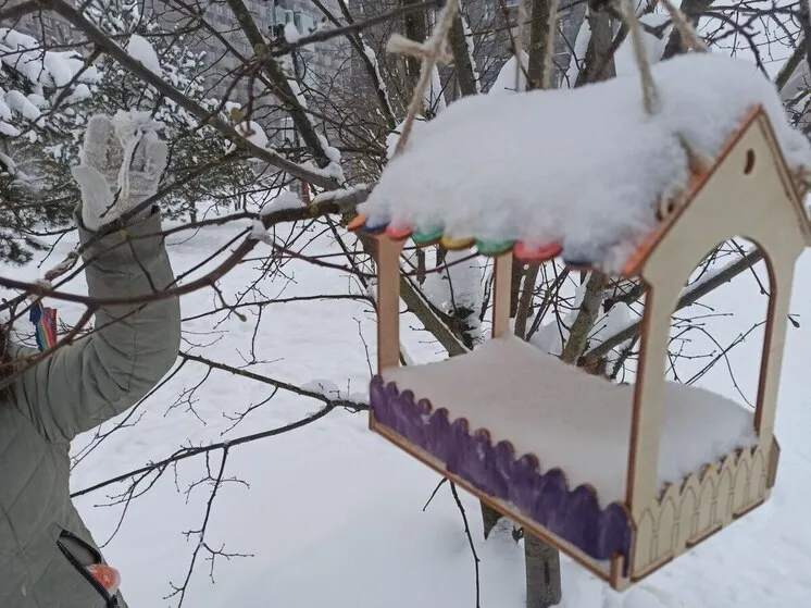погода кострома — RU news