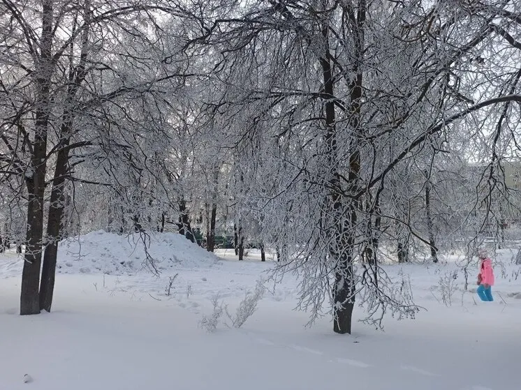 погода кострома — RU news