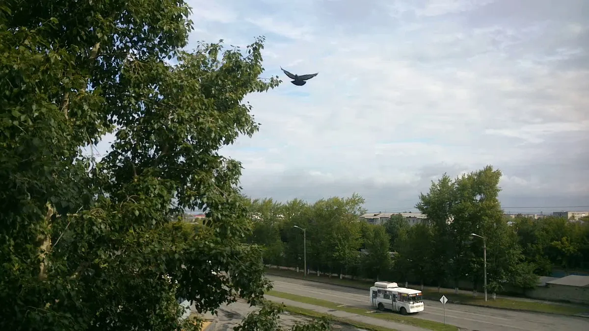 погода курган — RU news