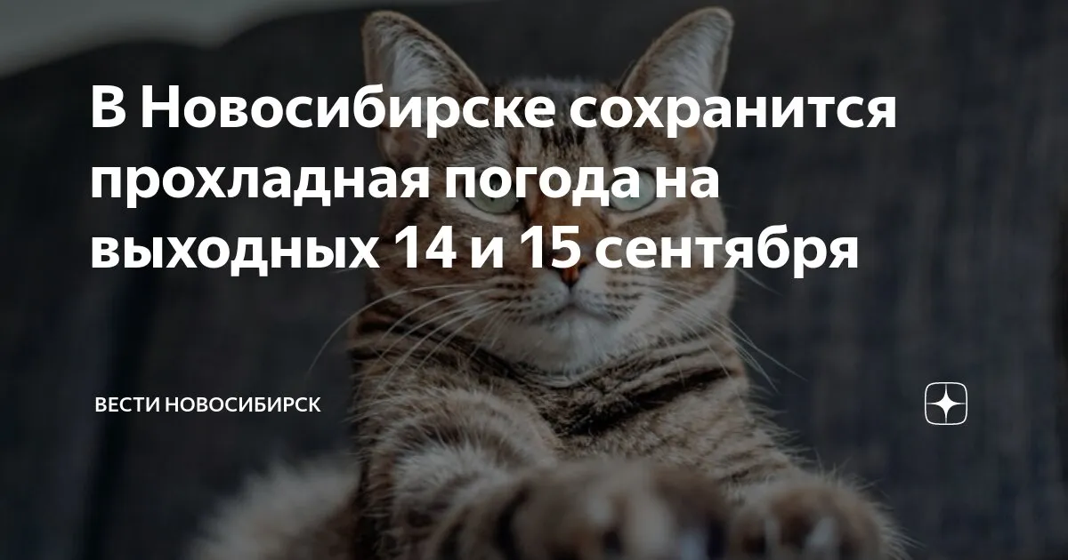 погода новосибирск — RU news