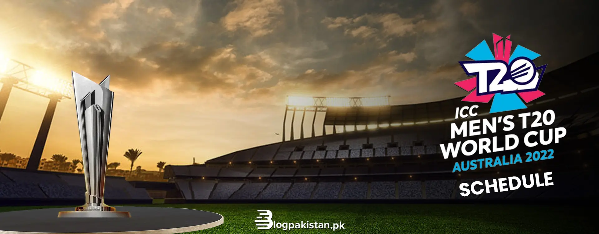 T20 World Cup 2023: История, значение и прогнозы