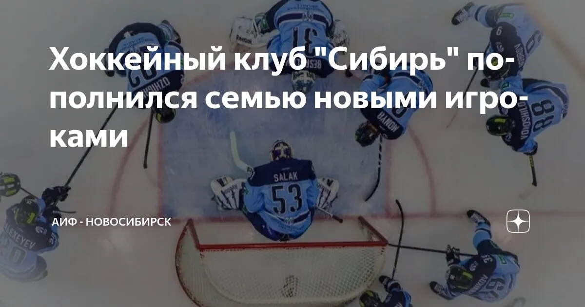 хк сибирь — RU news