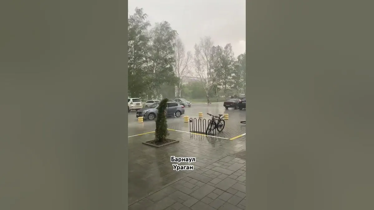 погода барнаул — RU news