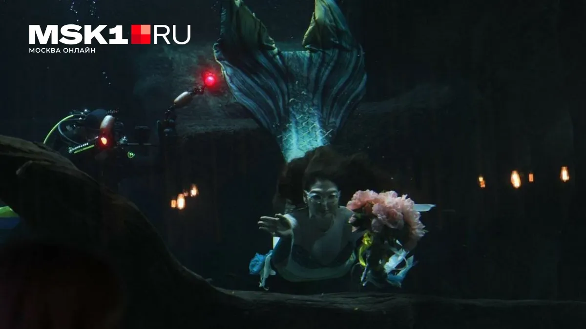 вднх — RU news