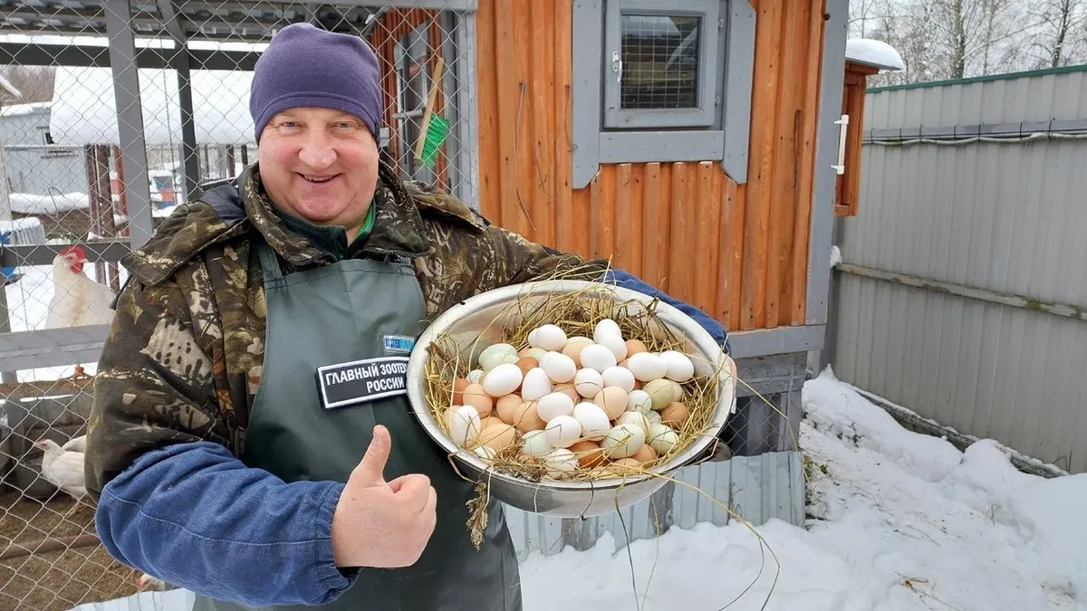 яйцо — RU news