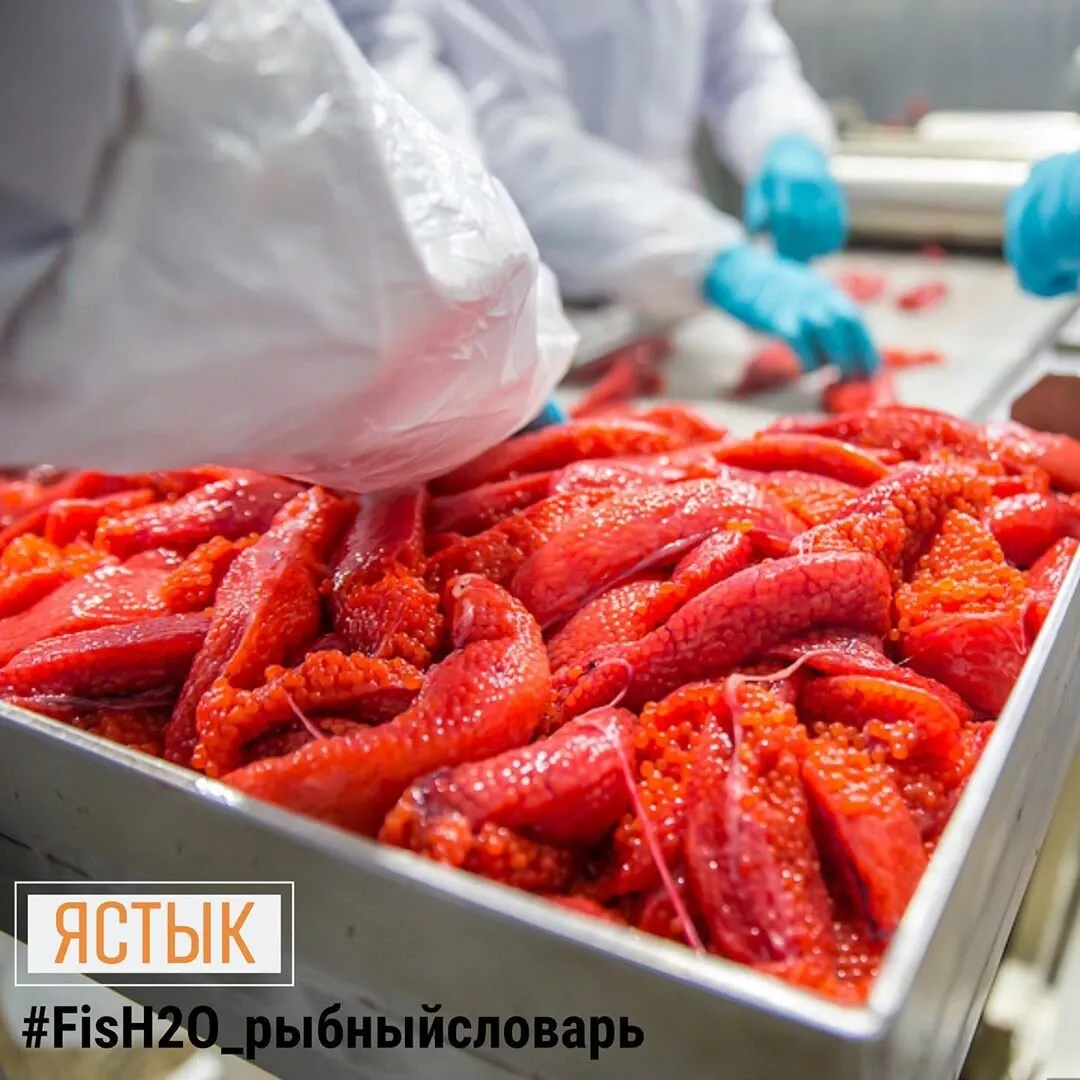 красная икра — RU news