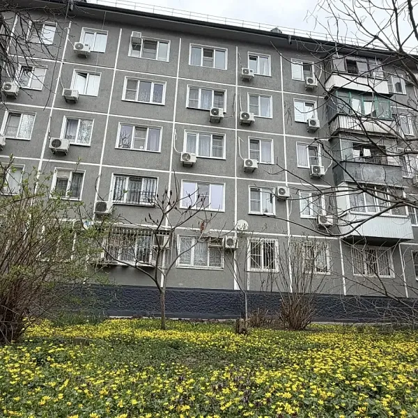 краснодарский край — RU news