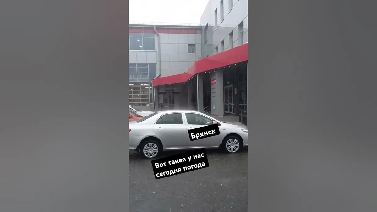 погода брянск — RU news