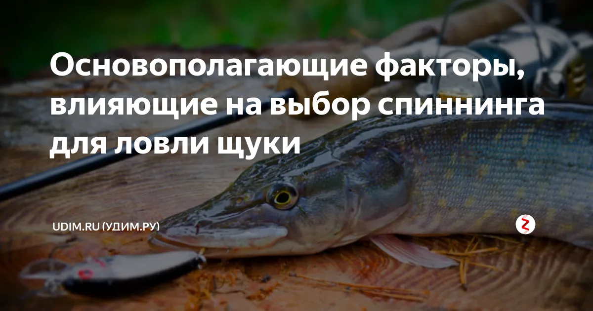 спиннинг — RU news