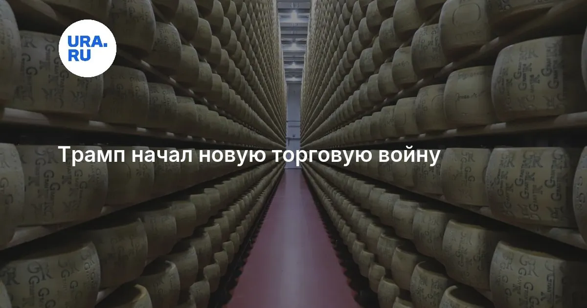 сыр — RU news