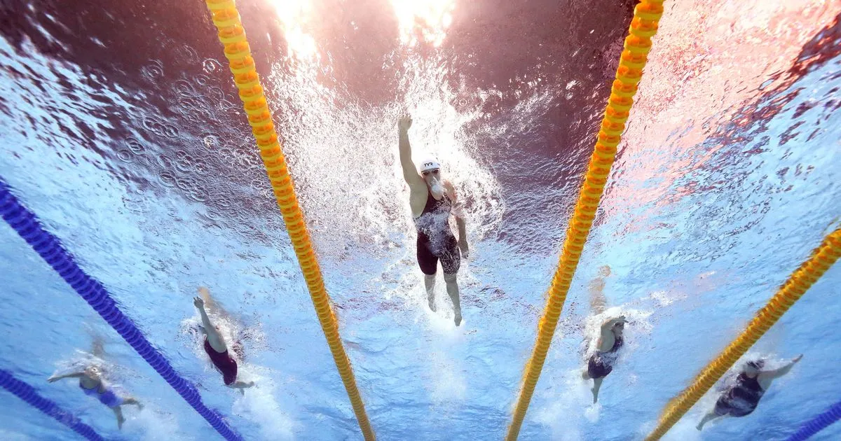 world aquatics — RU news