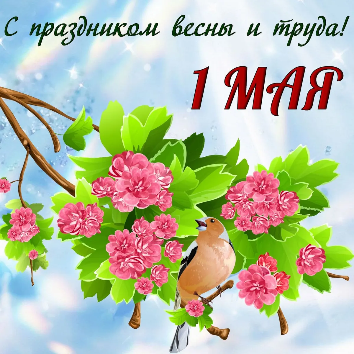 1 мая какой праздник — RU news