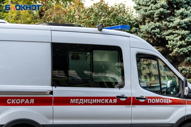 каменка — RU news