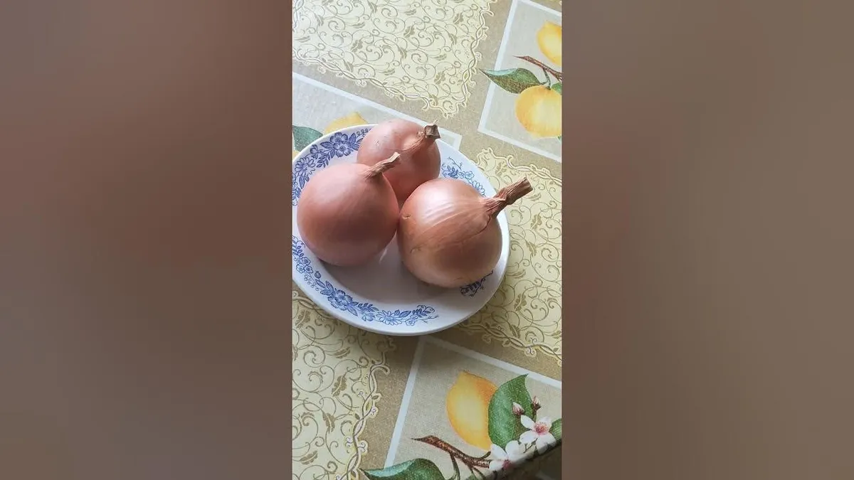 лук репчатый — RU news