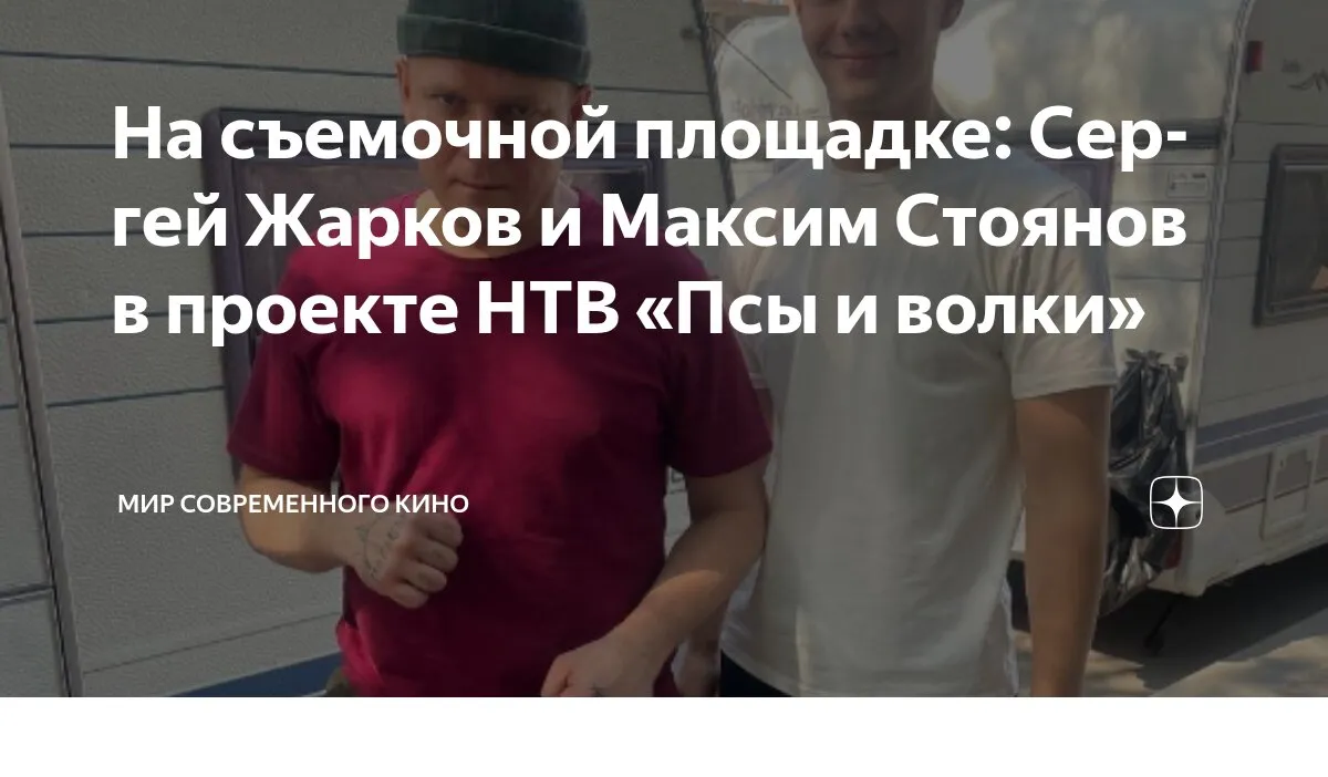 псы и волки — RU news