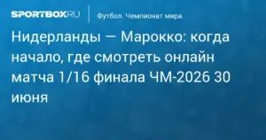 Клиент букмекеров поставил 8 миллионов рублей на победу Марокко над Нидерландами