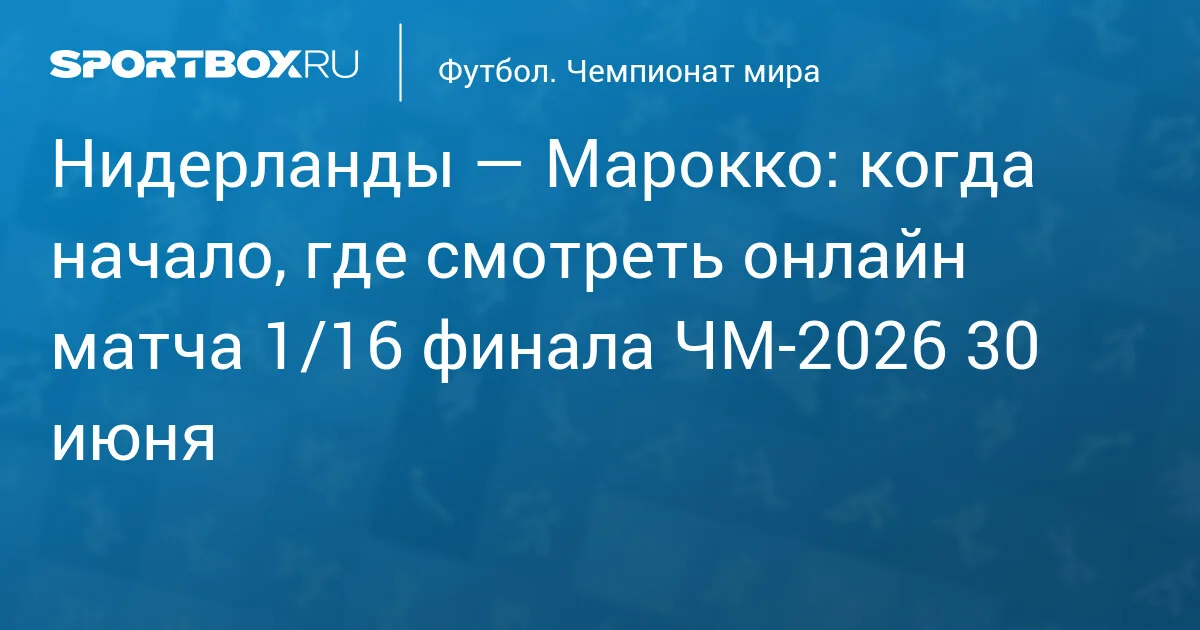 Клиент букмекеров поставил 8 миллионов рублей на победу Марокко над Нидерландами