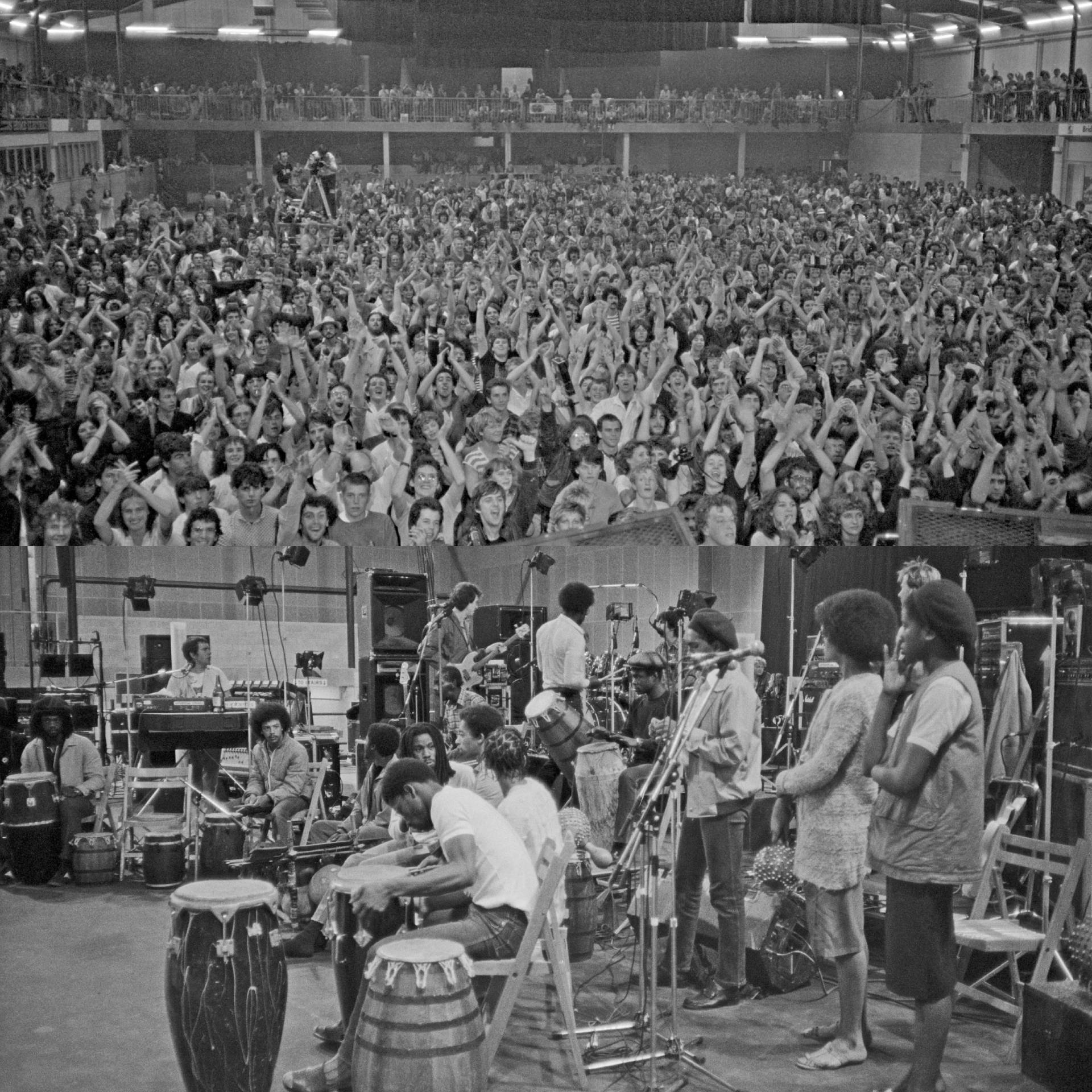 womad festival history