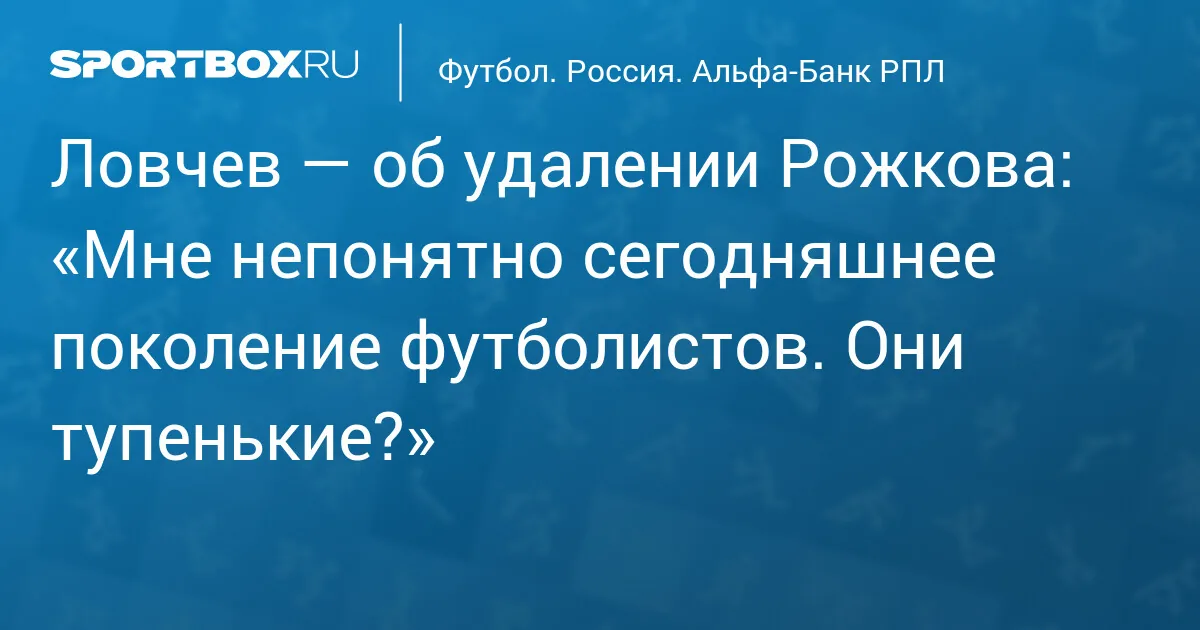 Казань: Арбитр Федотов оценил судейство в матче «Рубин» — «Краснодар»